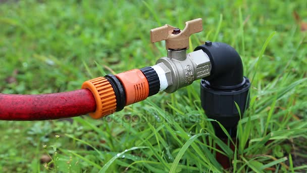 Water dripping from a street tap with hose — Stock Video