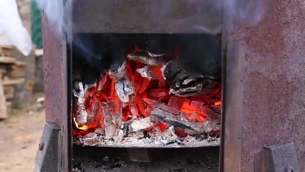 Quemaduras de fuego en la estufa — Vídeos de Stock