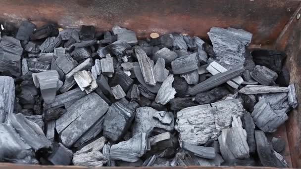 Kolen in een barbecue-grill — Stockvideo