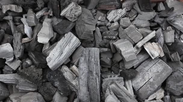 Вугілля в грилі для барбекю — стокове відео