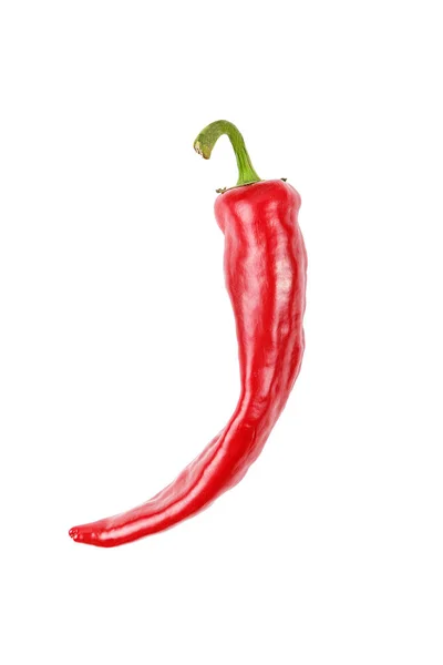 Piros chili paprika, elszigetelt — Stock Fotó