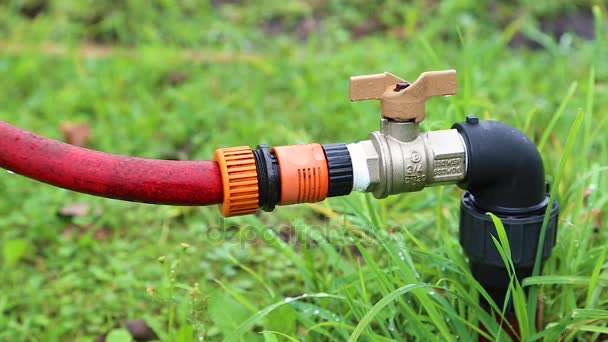 Water dripping from a street tap with hose, without video processing — Stock Video