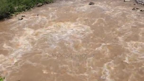 Dağ nehir Gürcistan'daki çamurlu suyla — Stok video