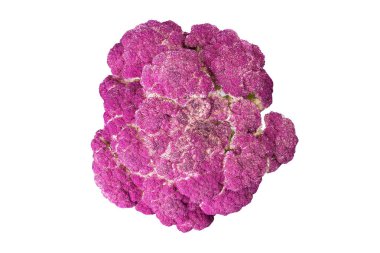 izole mor karnabahar