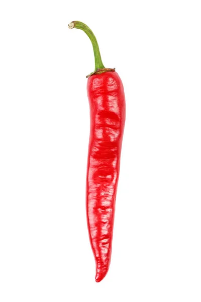Papryka chili, na białym tle — Zdjęcie stockowe