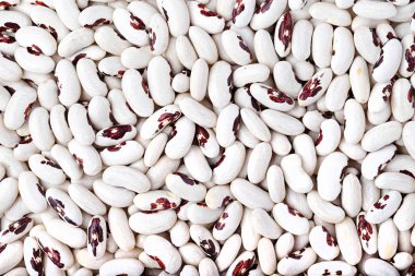 Kuru fasulye arka plan