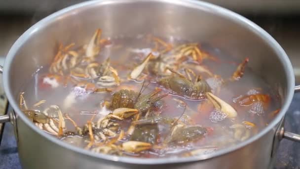 小龙虾在沸腾的水 — 图库视频影像