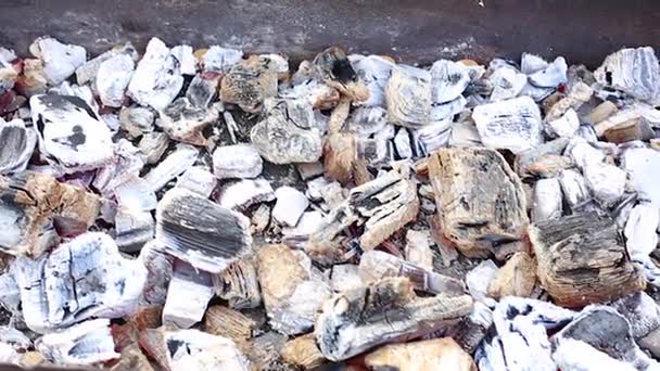 Σιγοκαίει κάρβουνα για το μπάρμπεκιου — Αρχείο Βίντεο