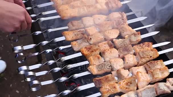 Shish kebab al salmone alla griglia — Video Stock