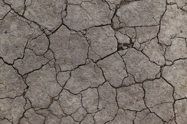 Засуха треснула землю
