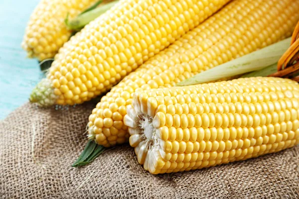 Peeled young corn on burlap, farmer's harvest. View from above.S — Stock Photo, Image