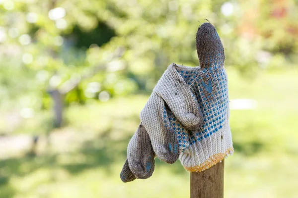 Working glove in the background of the garden — Stock Photo, Image