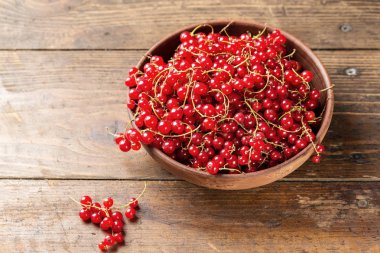 Yaz berry kırmızı kuş üzümü