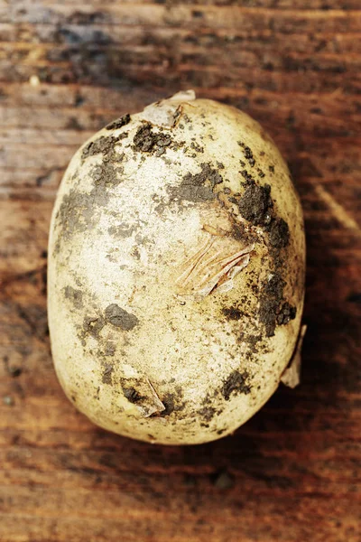 Jeden ziemniak zbliżenie — Zdjęcie stockowe