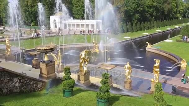 Estatuas doradas y fuentes en el Peterhof — Vídeo de stock