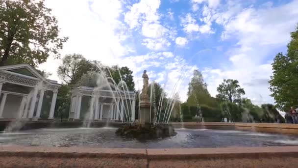 Statue near a fountain in Peterhof — Stock Video