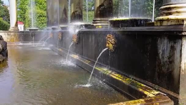 Ströme von Wasser fließen — Stockvideo