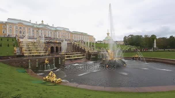 Estatuas doradas y fuentes en el Peterhof — Vídeo de stock