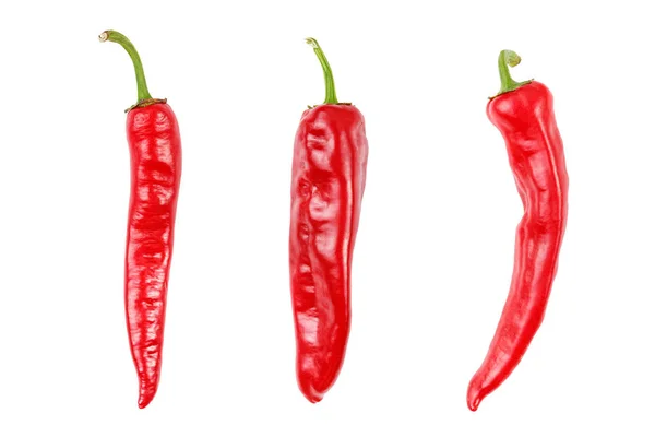 Peperoncino rosso caldo isolato — Foto Stock