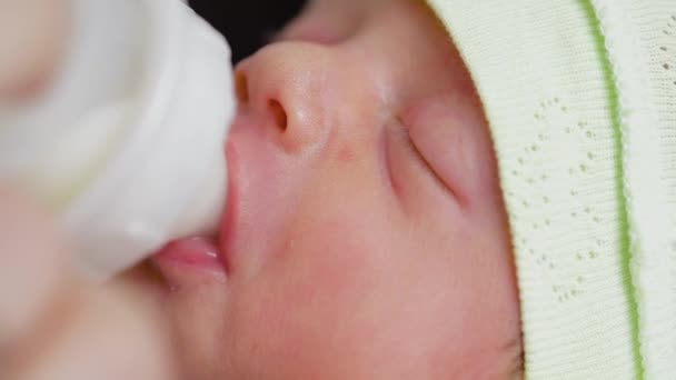 Newborn eats from a bottle — Stock Video