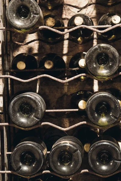 Много бутылок вина в подвале — стоковое фото