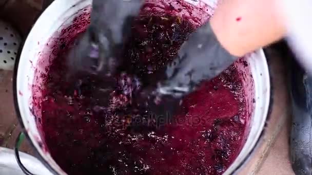 ワイン生産のための熟したブドウをリサイクル — ストック動画