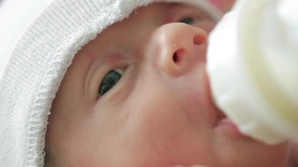 Newborn eats from a bottle — Stock Video