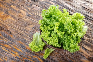 Marul yönetim kurulu