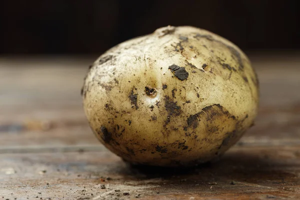 Jeden młodych ziemniaków — Zdjęcie stockowe