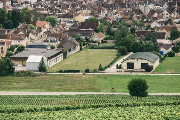 Région viticole Bourgogne — Photo