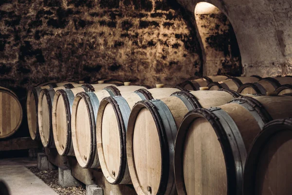 Şarap mahzeninde fıçılar