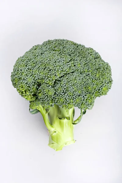 Brokolice na bílém pozadí — Stock fotografie