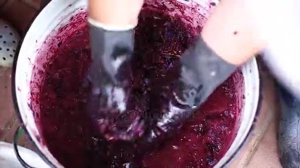 Reciclaje de uvas maduras para la producción de vino — Vídeo de stock