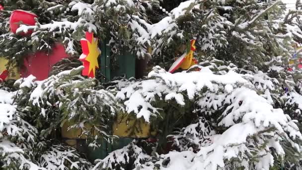 Su un albero coperto dalla neve di un giocattolo — Video Stock