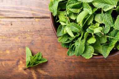 Taze nane Üstten Görünüm