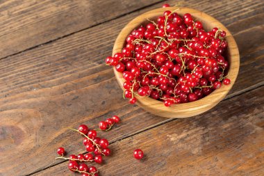 Frenk üzümü hasat