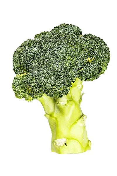 Fresh cabbage broccoli — Stock Photo, Image