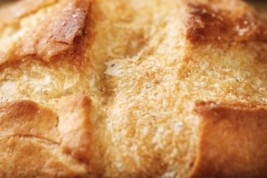 buğday topuz yakın çekim