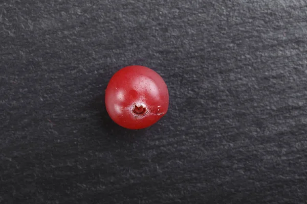 Een bes van een cranberry op een zwarte achtergrond met een plek voor th — Stockfoto