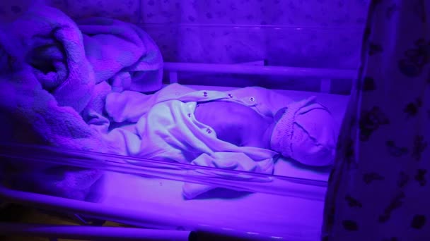 Phototherapy for newborn — Stock Video