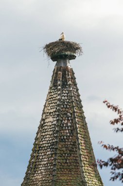 stork's nest çatıda