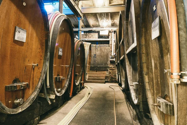 A lot of barrels of wine in the cellar — Stock Photo, Image