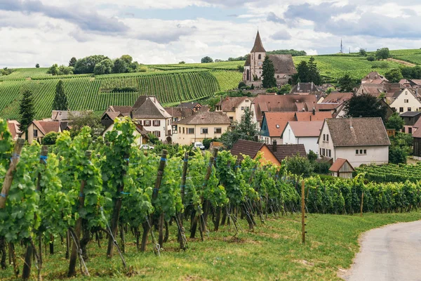 Weinfelder in Burgund — Stockfoto