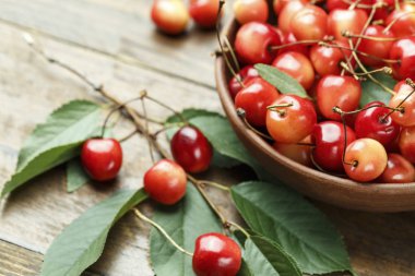 Olgun Kiraz ahşap arka plan üzerinde yaprakları ile