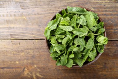 Yeşil taze nane om ahşap masa