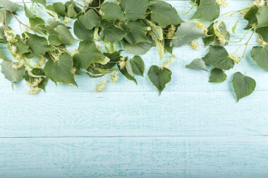 ıhlamur rengi ahşap arka plan üzerinde. 