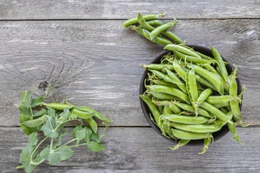 bir tabak yeşil bezelye
