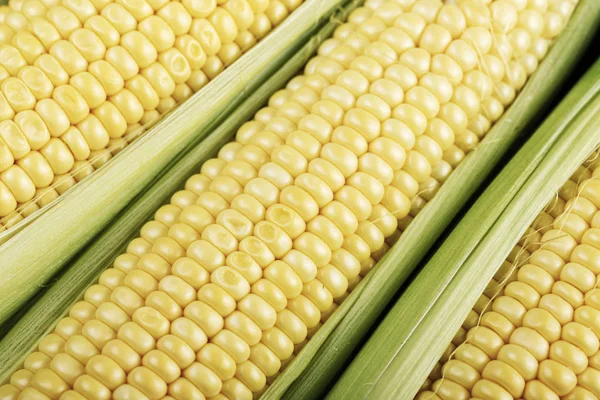 Fresh corn, corn on the cob, close-up, background, top view — Stock Photo, Image