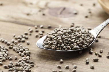 metal bir kaşık kenevir tohumu