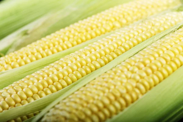 Fresh corn, corn on the cob, close-up, background, top view — Stock Photo, Image